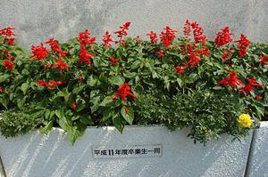 競馬の騎手を目指す人に理想的な学校