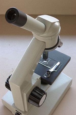 大阪で保育の資格を取得したいとき