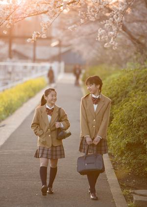 留学を中国へしたいと思っているのなら